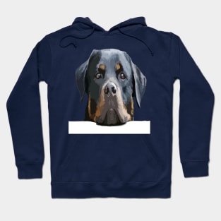 Rottweiler Peering Over A White Wall Vector Hoodie